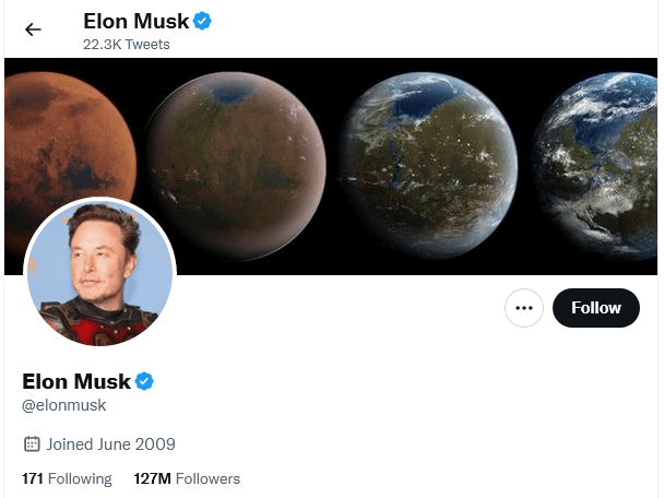 Twitter Blue Subscription - Elon Musk Profile